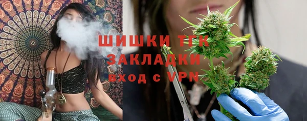 прущие грибы Арсеньев