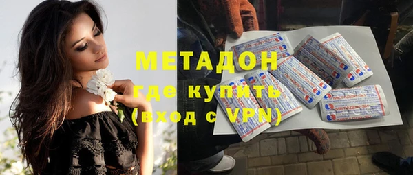 прущие грибы Арсеньев