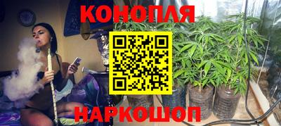 сатива Анапа