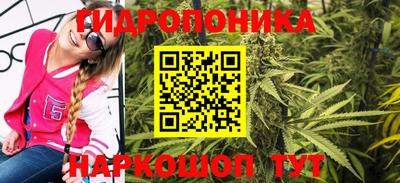шишки Анжеро-Судженск