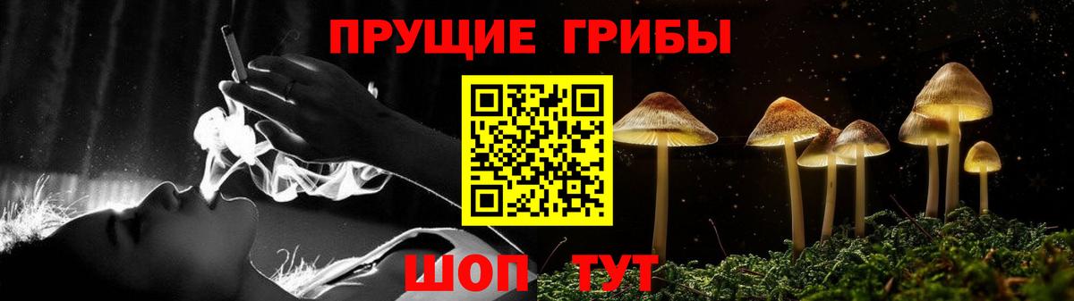 Всеволожск  Псилоцибиновые грибы мухоморы  наркотики  Вход с VPN 
